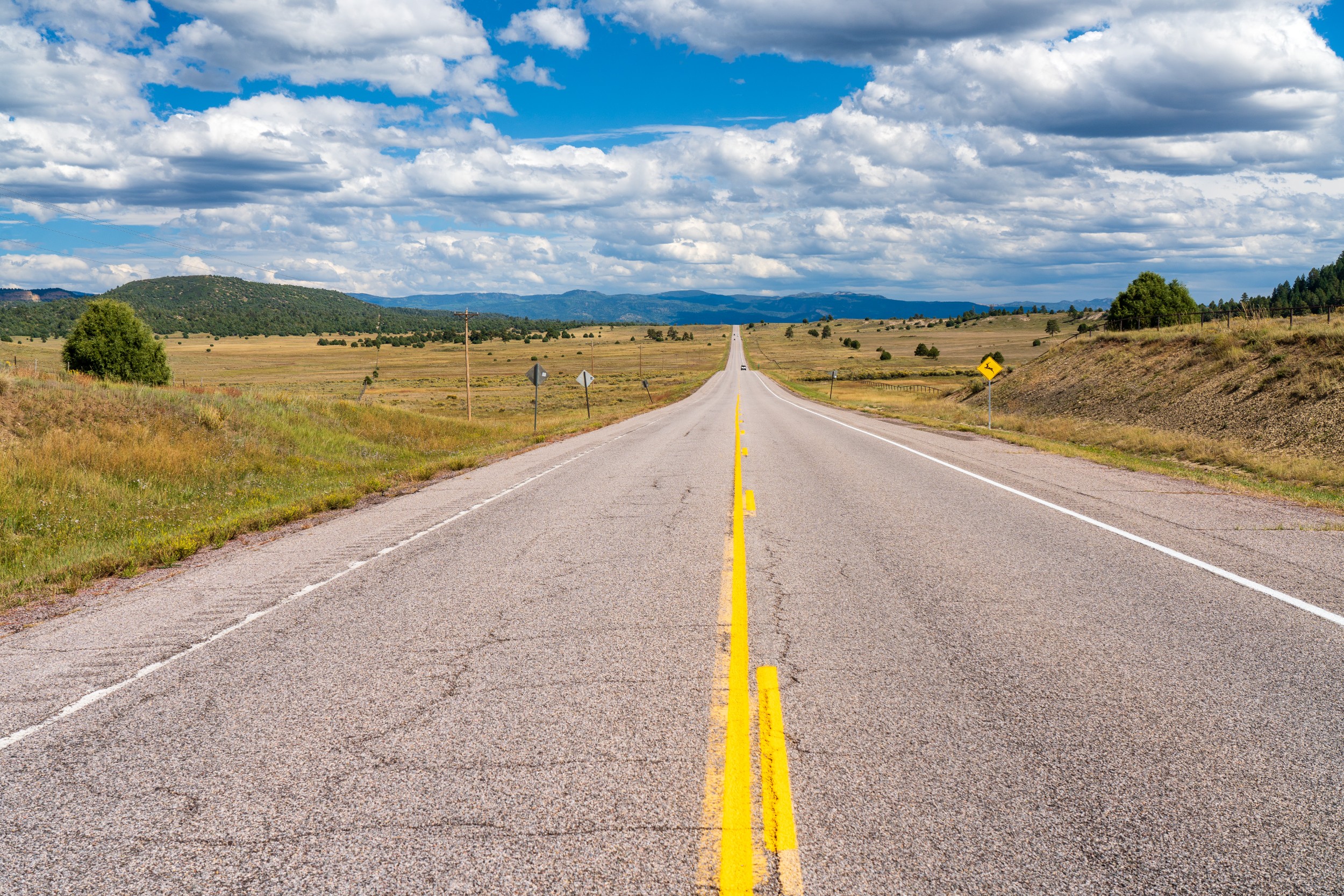 USA 2024 5 Sterne 41